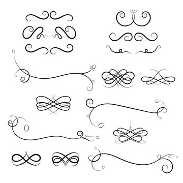 Calligraphic design elements on white background. Vector Calligraphic flourishes and Swashes. Curled Calligraphic flourish, Swash and loops for decoration. Calligraphic design element