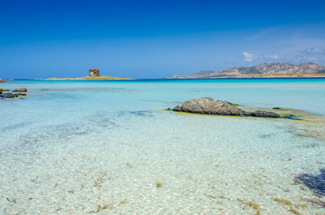 Beach Pelosa on Sardinia, Italy