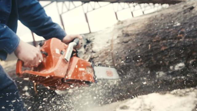 Cutting through wood with chainsaw in super slow motion. 