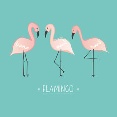 Obraz premium Vector illustration pink flamingo