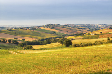 Country landscape in Marches (Italy)