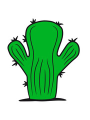 small green sweet cute cactus desert embrace balcony