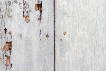 wood texture. background old panels