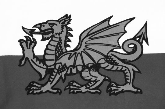 The national flag of Wales known as Y Ddraig Goch (The Red Baron) sadly not included in the Union Jack of the UK. Welsh black and white image