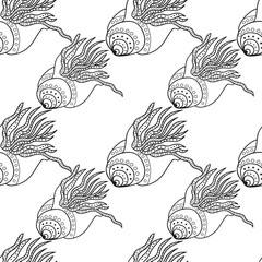 Black and white graphic sea shells. Isolated objects on white background. Doodle style. Zentangle. Coloring book page. Joy to adult colorists, who like art, relax and meditation. Seamless pattern