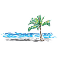 Fototapeta na wymiar Paradise Palm, sketch, vector illustration