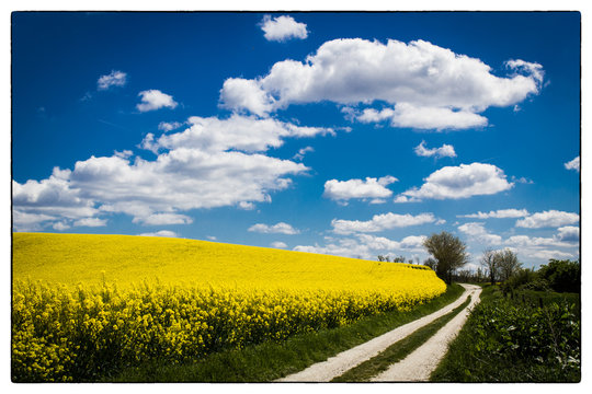 BourdeillesBilder StockFotos & Videos. Adobe Stock