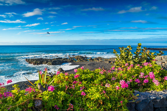 Teneriffa Tenerife 