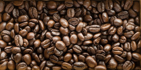 Fototapeta premium Coffee beans background