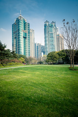 Fototapeta na wymiar Green meadow near modern buildings