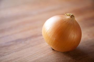 Close-up of onion on wood, empty space on left