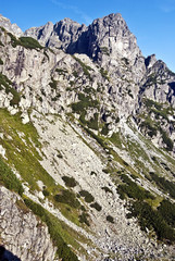 Jastrabia veza and Karbunkulovy hreben mountain range from Mala Zmrzla dolina valley in High Tatras mountains during summer day with clear sky © honza28683