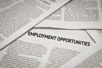 Obraz premium employment opportunities concept