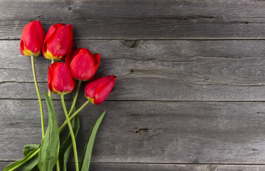 Red tulips on a dark wooden background