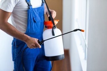 Midsection of pest control worker with sprayer - obrazy, fototapety, plakaty