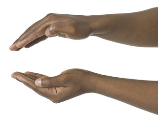 cupped hands holding something