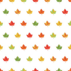 Seamless pattern  maple leaf