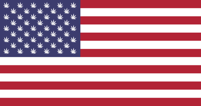 Vector of American flag replaced the stars with the weed.