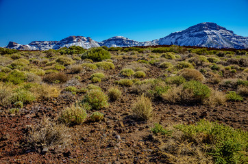 Fototapeta na wymiar desert valley in the eastern part of Teide volcano caldera with snow covered Montanas del Teide in the background Teide National park, Tenerife, Canary islands, Spain