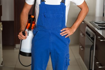 Midsection of pest worker with sprayer