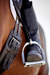 Dressage rider and horse closeup boot in stirrup concept equine humane treatment social issue