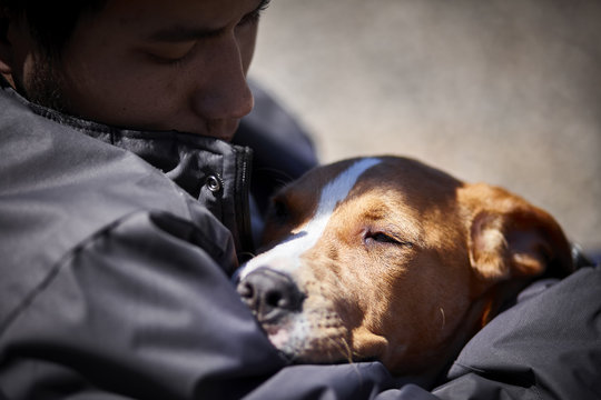 man holding sleepy puppy dog closeup selective focus concept social issue homelessness poverty animal rights