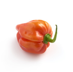 round red habanero pepper on a white background with a soft shad
