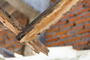 Close up wooden beams collapsed.