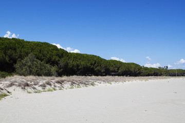 Un'assolata spiaggia in Sardegna