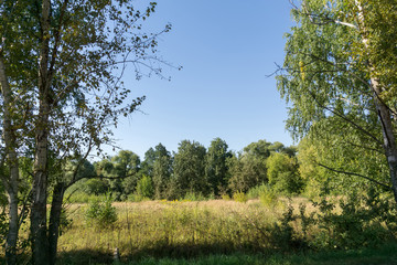 Summer Rural Landscape