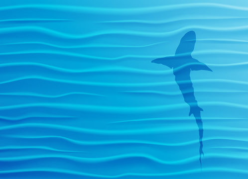 Shark silhouette in blue water 