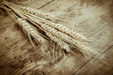 Sheaf of wheat on wooden background