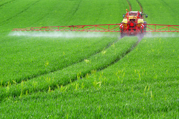 Traktor mit Feldspritze beim Ausbringen von Pflanzenschutzmittel - 109146551