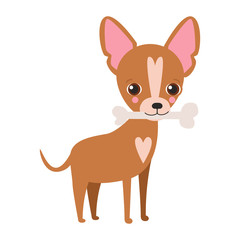 Illustraion of cute dog Chihuahua