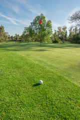 Fototapeta premium Golf ball next to green