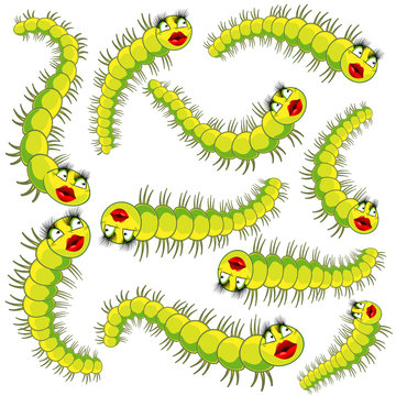 Funny colorful caterpillars