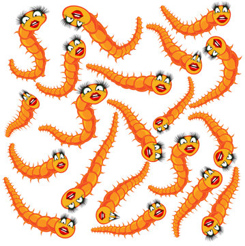 Funny orange worms