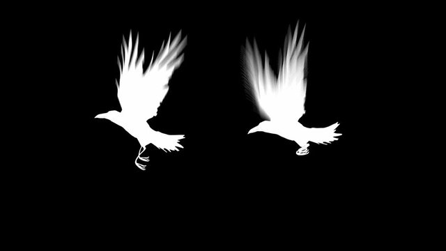 crow