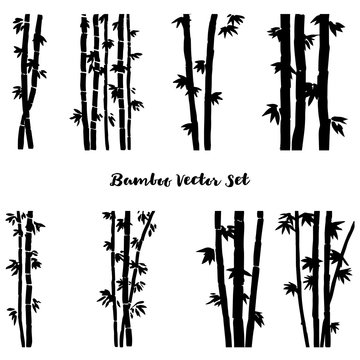 vector monochrome bamboo set