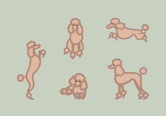 Vector dog character. Black poodle with red bow. Collection in five different poses.
