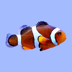 Clownfish fish clown animal low poly design. Triangle vector illustration.....