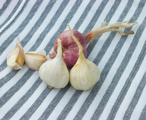 Fresh garlic and onions on black white and red checkered cotton