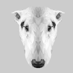 Staffordshire bullterier dog animal low poly design. Triangle vector illustration.
