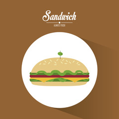Sandwich design. fast food illustration. menu concept
