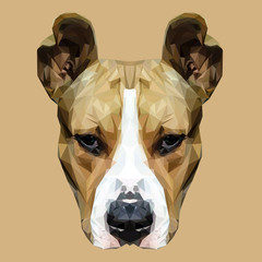 American Staffordshire Terrier dog animal low poly design. Triangle vector illustration.
- 109154359