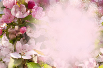 pink blossom background