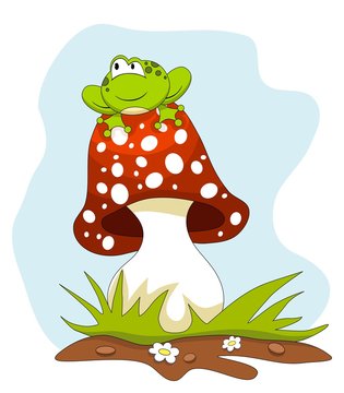 Frog sitting on a mushroom over blue sky