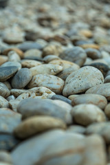 Stone Pebble Texture