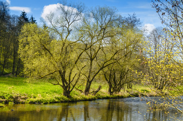 Fototapeta na wymiar Landschaft im Frühling, romantisches Tal, am Wasser - Landscape in spring, romantic Valley by the waterside