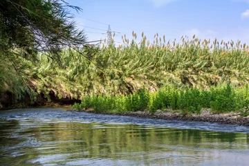  Bushes along the banks, Jordan River © alefbet26